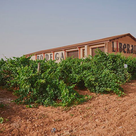 Bodega Liberalia Bodega Liberalia