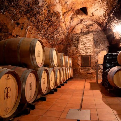 Bodega Muelas de Tordesillas Bodega Muelas de Tordesillas